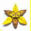 Cover VVYELLOW