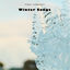 Cover Winter Songs (Icemusic)