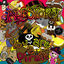 Cover You Are a Pirate