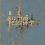 Cover Kulturpessimist