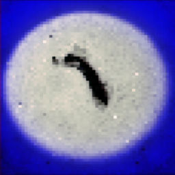 ''