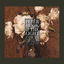 Cover Power Corruption & Lies Tour 2013