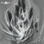Cover Fire