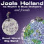 Cover Jools Holland And Friends - Small World Big Band