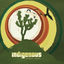 Cover Broken Lands