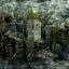 Cover Anima
