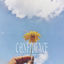 Cover Confidence