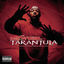 Cover Tarantula