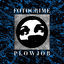 Cover Plowjob