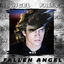 Cover Fallen Angel