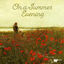Cover On a Summer Evening