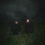 Cover Songs of Wishes and Bones