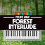 Cover Forest Interlude (From "Donkey Kong Country 2")