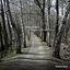 Cover Wuppdeckmischmampflow