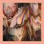 Cover Heimreise