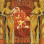 Cover Puta's Fever