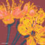 Cover Brother - EP