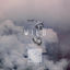 Cover Wild