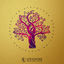 Cover Steyoyoke Perception, Vol. 08