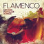 Cover Flamenco Covers Popular Songs