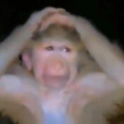 ''