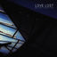 Cover Love Lost but Not Forgotten