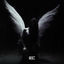 Cover halcyon