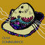 Cover Olha Dominguinhos