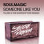 Cover Someone Like You (Plezier & the Shapeshifters Remixes)