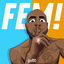 Cover FEM