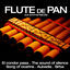 Cover Les plus grands succés de la flûte de Pan aux synthétiseurs