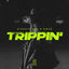 Cover Trippin'