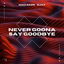 Cover Never Gonna Say Goodbye