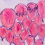 Cover pink balloons