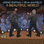 Cover A Beautiful World
