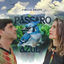 Cover Pássaro Azul