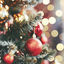 Cover christmas bangers