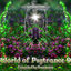 Cover World Of Psytrance, Vol. 9