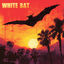 Cover XXVII