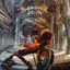 Cover Wanderer on the Edge of Time