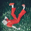 Cover Longing Fever