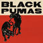 Cover Black Pumas (Deluxe Edition)