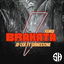 Cover Brakata (Remix)