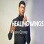 Cover Healing Wings