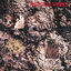 Cover The Icicle Works (De-luxe)
