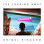 Cover The Looking Away