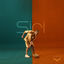 Cover Siri