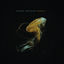 Cover Waves