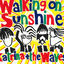 Cover Walking on Sunshine (2004 Version)