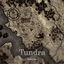 Cover Tundra